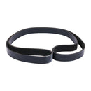 Ribbed Belt 3911584 for Cummins Engine 4B 4BT 6B 6BT 4B3.9 6C8.3 ISB