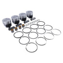 STD Piston Kit with Ring for Kubota Engine V2203 Bobcat 753C 763 773 S130 S150 S160 S185 331 334 341 5600 S175 S530 T190 T140