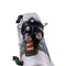 12V 10T Starter Motor 4996708 428000-7110 for Cummins Engine 6B5.9 B4.5 B6.7 F3.8 ISB6.7 QSB4.5 QSB6.7 QSF3.8