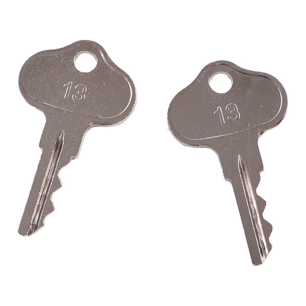 2 Pcs Ignition Keys 089070 for Gehl Forklift 552 553 663 883 1083