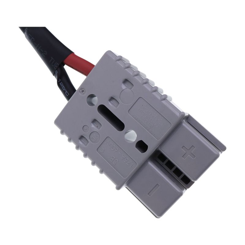 25A 110V Battery Charger 1120-560000-00-01 for Big Joe Counter Balance Stacker CB22 Blue Giant Powered Pallet Truck BGS-25 BGS-30