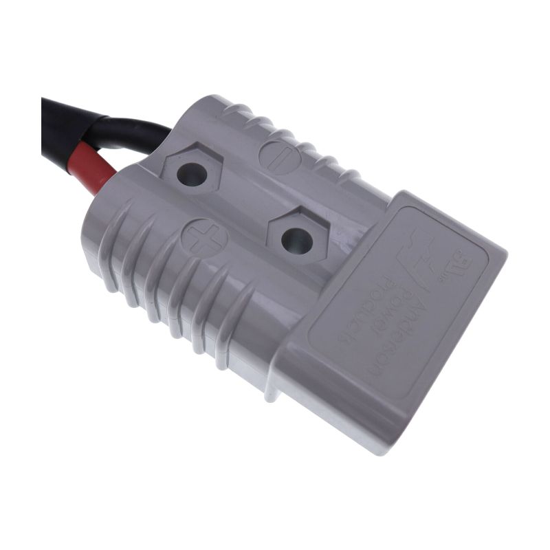 25A 110V Battery Charger 1120-560000-00-01 for Big Joe Counter Balance Stacker CB22 Blue Giant Powered Pallet Truck BGS-25 BGS-30