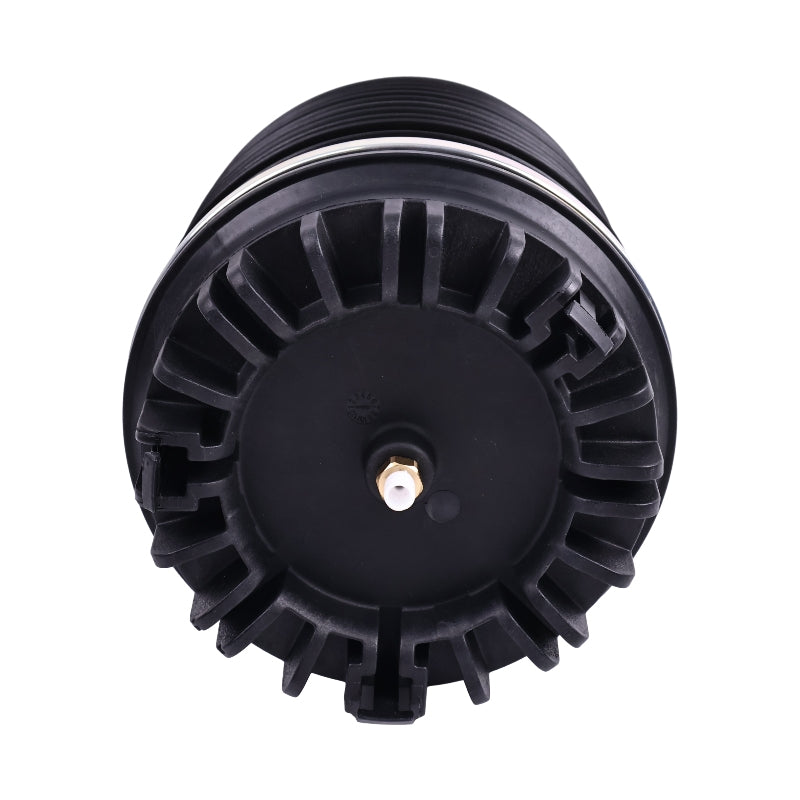 2 Pcs Rear Air Suspension Spring 4877136AB 68248948AA for Dodge Ram 1500 2013-2018 1500 Classic 2019-2020