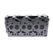 3TNV76 Engine Complete Cylinder Head With Valves for Yanmar Excavator ViO25-4 TYM Compact Tractor T255NHEU TS25NCEU