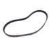 8PK1035 V-Ribbed Belt 6.3774.0 for Kaeser Air Compressor