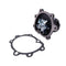 Engine Water Pump With Gasket 8AW1-15-100 for Mazda Bus T3000 3.0L HA 4 Cylinder 5sp Man Truck 4x2 01/83 - 01/84