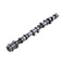 Exhaust Camshaft DS7Z-6250-E for Ford Escape 2017-2019 Fusion 2014-2020 1.5L L4