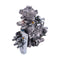 Fuel Injection Pump 0460426453 2855392 for CASE Tractor Maxxum115 Maxxum125 Maxxum140 Farmall110A