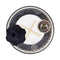 Fuel Water Separator Bowl 343-5527 for Caterpillar CAT Engine 3126 C7 C9 Excavator 312D 315C 320D 322C 324D 336D