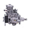 Fuel Injection Pump 2856352 for CASE IH Engine 445TM3 4.5L Forklift 580N 586G New Holland Loader U80B