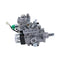 Fuel Injection Pump 4983960 for Cummins Engine B3.3 QSB3.3