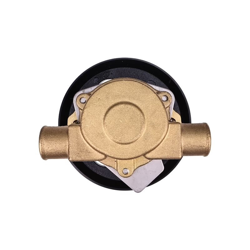 G21 G20 GT-40 Raw Water Pump RA057007 18830-0010 for Jabsco Sherwood Pleasurecraft Ford 5.0-Liter 5.8-Liter 302 351 CID