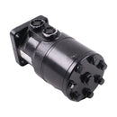Hydraulic Motor BM2-CJT-315 for Excavator Crane