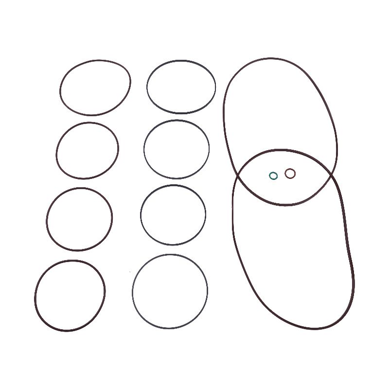Hydrostatic Motor Seal Kit 6676021 for Bobcat 863 873 883 A220 A300 S220 S250 S300 S630 S750 S770