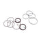 Hydrostatic Motor Seal Kit 6676021 for Bobcat 863 873 883 A220 A300 S220 S250 S300 S630 S750 S770