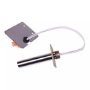 Igniter 99300149 99300148 AMP-CI4 for Avalon Arbor Astoria Lopi Leyden Yankee Bay