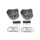 Piston Kit 13001-6004 13001-7027 13008-0569 for Kawasaki Engine FR651V