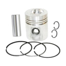 Piston Kit With Ring 04255043 for Deutz Engine BF4M1012 BF6M1012