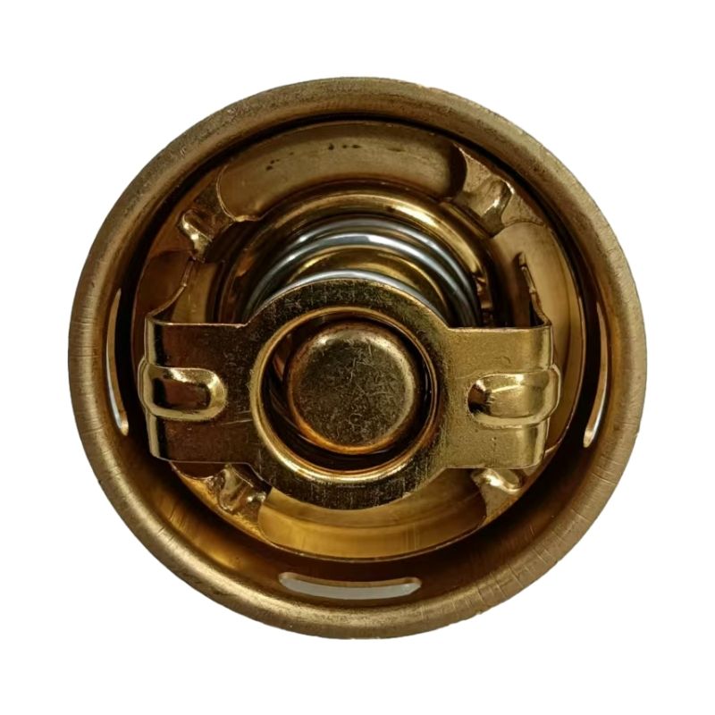 Thermostat 31646-02200 for Mitsubishi Engine S4S S4E 4DQ7 Hyundai R160LC-9S R170W-9S R180LC-9S R180W-9S