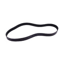 V-Ribbed Belt 01183376 01181612 for Deutz Engine TCD2012 BFM2012C BF4M2012C 6M2012C