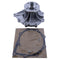 Water Pump 7091873C1 for Navistar International MAXXFORCE 13 Caterpillar CAT CT15 CT13 CT11 Engine