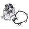 Water Pump with Gasket 1C010-73035 for Kubota Engine V3300 V3600 V3800 Tractor M6800 M8560HD M9000DT M9960HDL