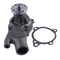 Water Pump 279683 388365 A000001982 for GM 250 4181 Engine Hyster S60-100E H60-110E Toyota 6FGCU25 6FGCU30
