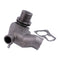 Water Pump 4P-4212 2W-9342 for Peugeot Engine XN1P Caterpillar CAT Forklift T25-35D T40-60D V40-50D VC60D VC60DSA