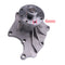 Water Pump 8941403410 for Isuzu Engine 4LE1 4JB1 4JA1 Truck NKR55
