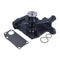 Water Pump With Gasket 1693607 4955733 for Cummins Engine B3.3 QSB3.3 QSB4.5 Hyster Forklift
