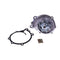 Water Pump With Gasket 21010-FU425 for Nissan Engine K15 K20 K21 K25