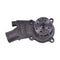 Water Pump with Gasket 02/920110 16100-U2120-71 for Toyota Engine GM4181 Forklift 52-6FG30 52-6FGC30 52-6FGCU20 52-6FGCU25 52-6FGCU30 52-6FGU25 52-6FGU30