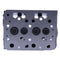 Z402 Z402-EB-ONAN-1 Z402B Z402-B Z402-B-AIXAM-1 Z402-E2B-WDDE-1 Complete Cylinder Head with Valves for Kubota Engine