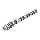 Intake Camshaft Assembly 24100-2E014 24100-2E004 for Hyundai Elantra GT 2018-2020 Kia Forte Soul