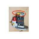 Fuel Pump Without Base for 3090942 3417674 for Cummins Engine M11 N14 ISM11 QSM11