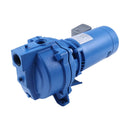 Goulds J10S 1 Phase 1HP Single Shallow Well Jet Pump