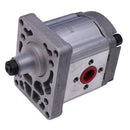 Hydraulic Pump 8129483 for Fiat Serie 56 66 76 86 88 90 93 94 Tractor