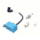 Ignition Coil Kit A411001870 for Echo Blower EB810 EB810RT EB910 EB910RT PB-8010H PB-8010T PB-9010H PB-9010T