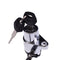 Ignition Switch With Keys 27005-1215 27005-1256 for Kawasaki Motorcycle Vulcan 1500 VN1500 1998-2008