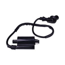 Ignition Coil Spark Plug Boot and Wire 0455029 for Polaris RZR 170 Outlaw 110 Sportsman 110