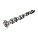 Intake Camshaft 24100-2E720 for Hyundai Engine G4NH Vehicle Elantra Kona Veloster