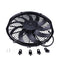 12" Medium Profile Pusher Fan 30101505 VA10-AP50/C-25S for Spal